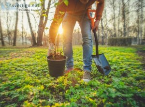 How To Get Your Land Ready For Spring Tree Planting