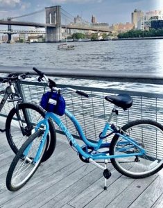 Moving Sale Schwinn adult lt blue bike used once.