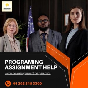 Best Programing Assignment Help Services online .