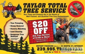 Free estimates tree service grapple loads