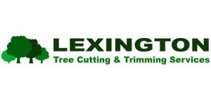 Lexington Tree Cutting and Trimming Services