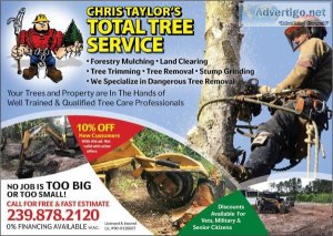 Dangerous tree removal free estimates dumpster service