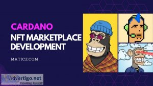 Cardano nft marketplace development