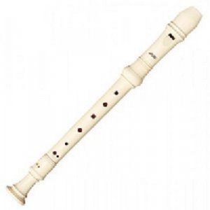 Learn Recorder Lesson by Professionals