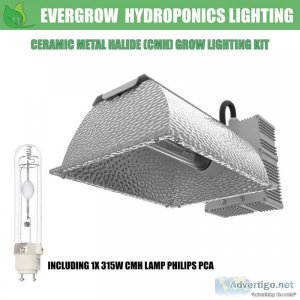 Hydroponic Lights in Australia