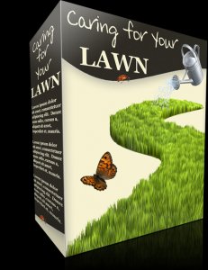 The Secret Of A Great Lawn Without Needing A Professional