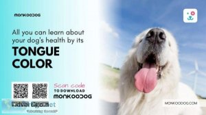 All You Can Learn About A Dog&rsquos Health By Their Tongue Colo