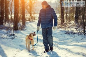 Monthly Professional Dog Walking Services - Pawpurrfect