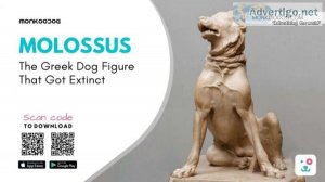 Molossus The Greek Dog Figure That Got Extinct