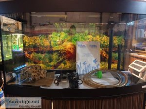 Aquarium Fluval Vicenza 40 gallons table d&rsquoaquarium