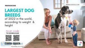 Largest Dog Breeds In The World 2022