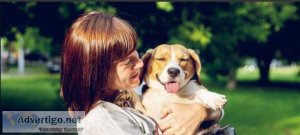 This Is What You Must Be Lacking In Your Dog&rsquos Health