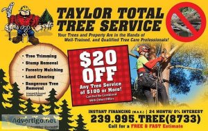 Dangerous Tree Removal-Land Clearing-Tree Trimming