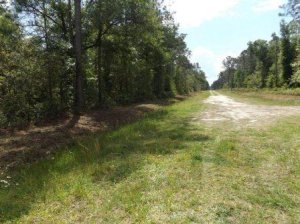 Two Acres Plus For Sale