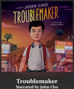 Troublemaker