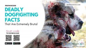 10 Deadly Dogfighting Facts That Are Extremely Brutal