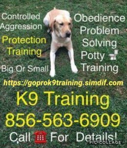 K9?s obedience training program