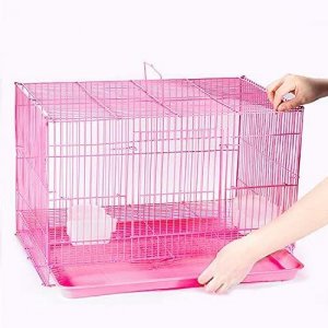 Buy Guinea Pig Cages Online in India