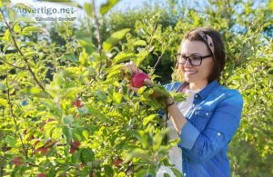 Fruit Tree Benefits