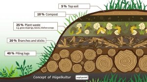 Learn the details about the best soil used for the raised garden