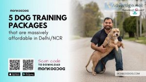 5 Massively Affordable Dog Training Packages in Delhi NCR