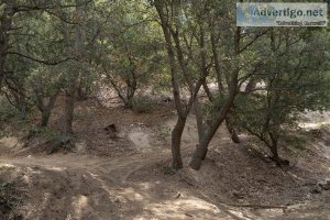 Low Priced Forest Land for Sale