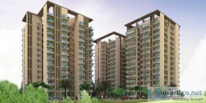 Rof ambliss sector 78 gurgaon is best affordable project