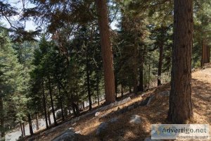 Lake Arrowhead Land for sale - lake rights