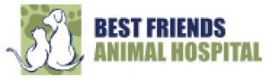 Best Friends Animal Hospital