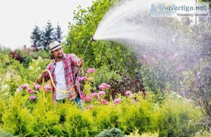 Proper Summer Watering Habits Watering Golden Rules Part 1