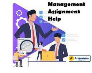 Management Assignment Help