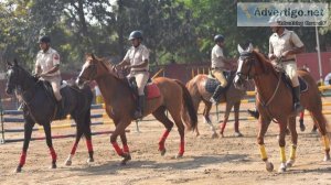 Horse Riding Academy in Bangalore