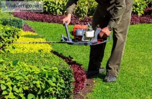 Shrub Pruning Trimming And Shaping