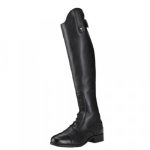 Want to Buy Paddock Boots Ontario