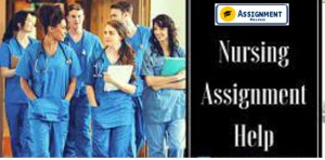 Nursing Assignment Help