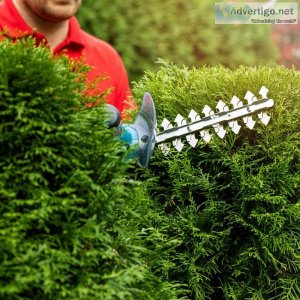 Hedge and Shrub Trimming Services in Toronto ON