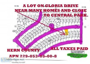 LOT NEAR CENTRAL PARK 51803226