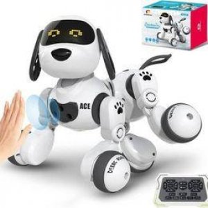 Remote Control Dog Robot