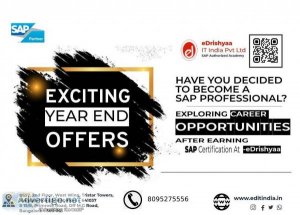 eDrishyaa IT India pvt LTd