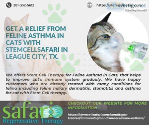 Get a Relief from Feline Asthma in Cats with Stemcellsafari in L