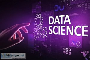 Become data scientist in 5 months