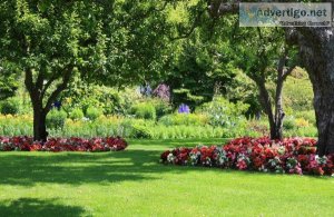 Shade Trees and How They re Beneficial