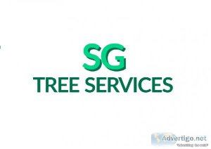 High Quality Tree Pruning Services In Aberdeen