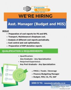 Asst. Manager (Budget and MIS) Job and Vacancy