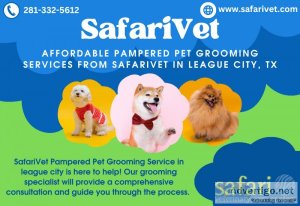 Get Affordable Pampered Pet Grooming Services from Safari Veteri