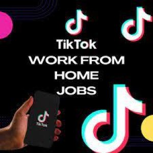 Start A Career Today - Tiktok Work From Home (US)