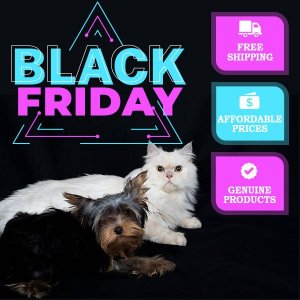 Black Friday Offers are live at eBay Store- Budgetpetsupplies