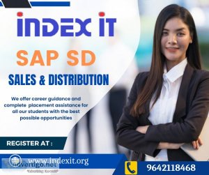 Sap sd training in hyderabad