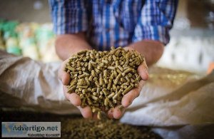 Europe animal feed additive market share, size, growth, trends, 