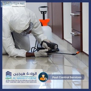 Pest control services dubai